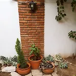 Punadito De Descanso